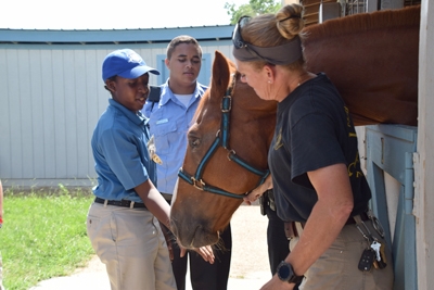 horse trainers with young boy